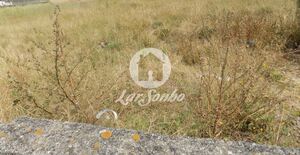 Terreno R�stico - Agu�adoura, P�voa de Varzim, Porto - Miniatura: 2/2