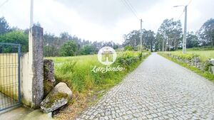 Terreno R�stico - S�o Pedro Fins, Amarante, Porto - Miniatura: 12/15