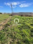 Terreno R�stico - A Ver-o-Mar, P�voa de Varzim, Porto - Miniatura: 3/4