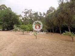 Quinta - Cruz, Vila Nova de Famalic�o, Braga - Miniatura: 4/20