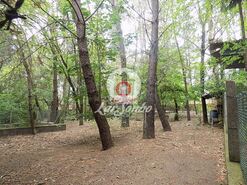Quinta - Cruz, Vila Nova de Famalic�o, Braga - Miniatura: 6/20