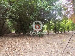Quinta - Cruz, Vila Nova de Famalic�o, Braga - Miniatura: 7/20