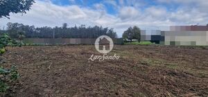 Terreno R�stico - Rio Mau, Vila do Conde, Porto - Miniatura: 1/14
