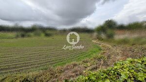 Terreno R�stico - Junqueira, Vila do Conde, Porto - Miniatura: 10/17