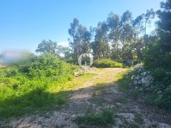 Terreno R�stico - Gi�o, Vila do Conde, Porto - Miniatura: 1/4
