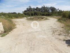 Terreno R�stico - Macieira da Maia, Vila do Conde, Porto - Miniatura: 3/8