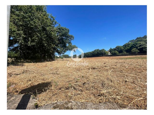 Terreno R�stico - Alvelos, Barcelos, Braga - Imagem grande