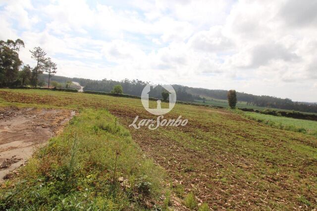 Terreno R�stico - Balazar, P�voa de Varzim, Porto - Imagem grande