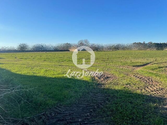 Terreno R�stico - Junqueira, Vila do Conde, Porto - Imagem grande