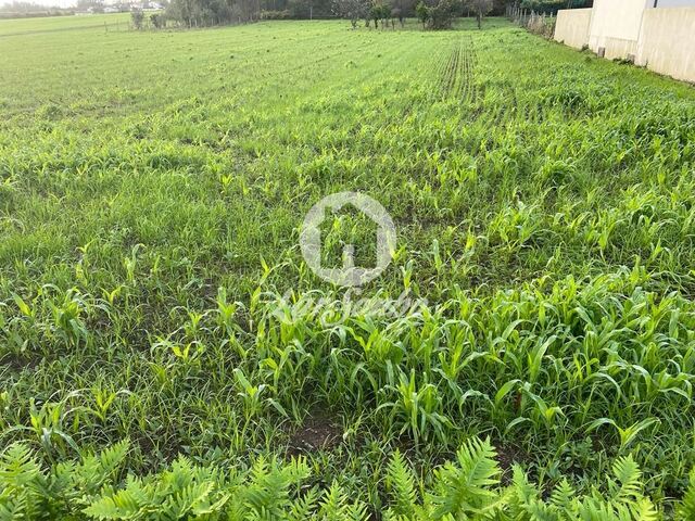 Terreno R�stico - P�voa de Varzim, P�voa de Varzim, Porto - Imagem grande