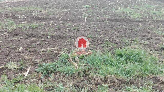 Terreno R�stico - Fajozes, Vila do Conde, Porto - Imagem grande