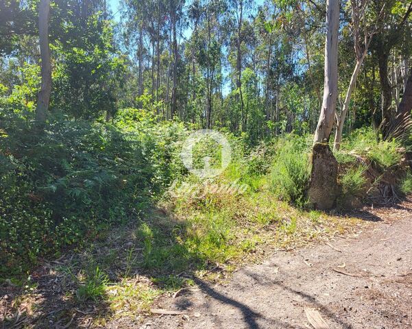 Terreno R�stico - Gi�o, Vila do Conde, Porto - Imagem grande