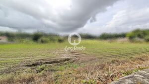 Terreno Rstico - Junqueira, Vila do Conde, Porto
