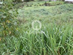 Terreno R�stico - Gondifelos, Vila Nova de Famalic�o, Braga