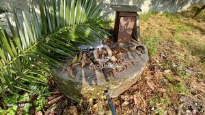 Terreno R�stico - Aves, Santo Tirso, Porto - Miniatura: 4/19