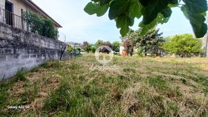 Terreno R�stico - Aves, Santo Tirso, Porto - Miniatura: 6/19