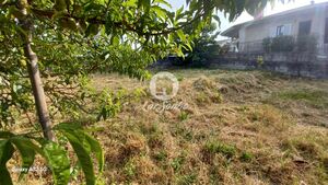 Terreno R�stico - Aves, Santo Tirso, Porto - Miniatura: 10/19