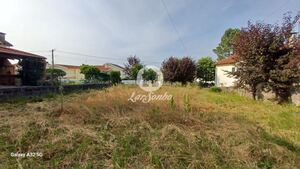 Terreno R�stico - Aves, Santo Tirso, Porto - Miniatura: 12/19