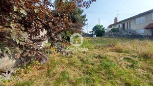 Terreno R�stico - Aves, Santo Tirso, Porto - Miniatura: 13/19