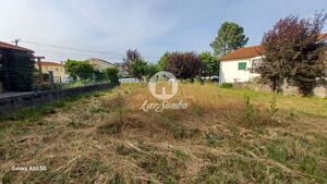 Terreno R�stico - Aves, Santo Tirso, Porto - Miniatura: 16/19