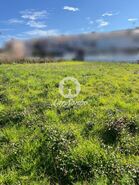 Terreno R�stico - A Ver-o-Mar, P�voa de Varzim, Porto - Miniatura: 1/4