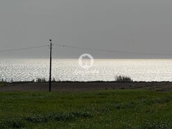 Terreno R�stico - Labruge, Vila do Conde, Porto - Miniatura: 2/13