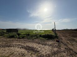 Terreno R�stico - Labruge, Vila do Conde, Porto - Miniatura: 4/13