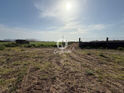 Terreno R�stico - Labruge, Vila do Conde, Porto - Miniatura: 5/13