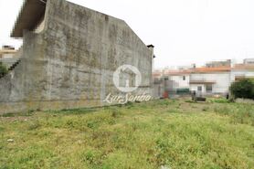 Terreno R�stico - Areias, Santo Tirso, Porto - Miniatura: 5/8