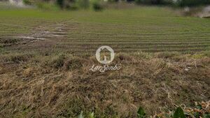 Terreno Rstico - Junqueira, Vila do Conde, Porto - Miniatura: 13/17