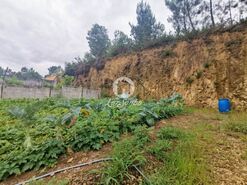 Terreno R�stico - Vila Nova de Famalic�o, Vila Nova de Famalic�o, Braga - Miniatura: 7/8