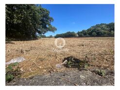 Terreno R�stico - Alvelos, Barcelos, Braga - Miniatura: 1/4