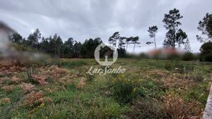 Terreno R�stico - Modivas, Vila do Conde, Porto - Miniatura: 5/6