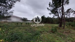 Terreno R�stico - Modivas, Vila do Conde, Porto - Miniatura: 6/6