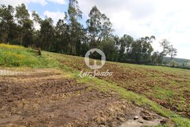 Terreno R�stico - Balazar, P�voa de Varzim, Porto - Miniatura: 2/6