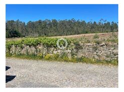 Terreno R�stico - CHORENTE, Barcelos, Braga - Miniatura: 2/5