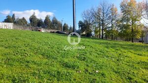 Terreno R�stico - Vila Nova de Famalic�o, Vila Nova de Famalic�o, Braga - Miniatura: 2/5