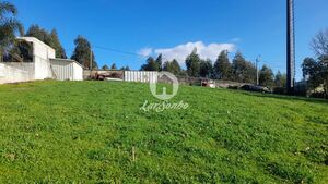 Terreno R�stico - Vila Nova de Famalic�o, Vila Nova de Famalic�o, Braga - Miniatura: 3/5