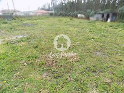 Terreno R�stico - Bagunte, Vila do Conde, Porto - Miniatura: 1/3