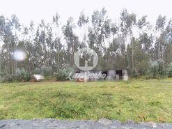 Terreno R�stico - Bagunte, Vila do Conde, Porto - Miniatura: 2/3