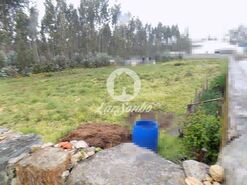 Terreno R�stico - Bagunte, Vila do Conde, Porto - Miniatura: 3/3