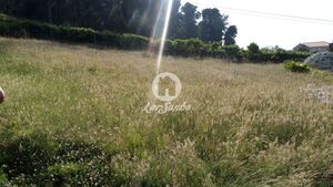 Terreno R�stico - La�ndos, P�voa de Varzim, Porto - Miniatura: 3/5