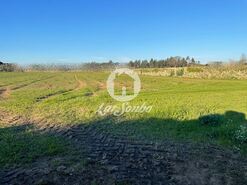 Terreno R�stico - Junqueira, Vila do Conde, Porto - Miniatura: 1/2