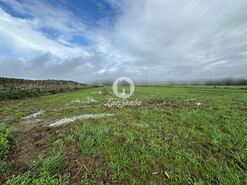 Terreno R�stico - Gi�o, Vila do Conde, Porto - Miniatura: 2/15