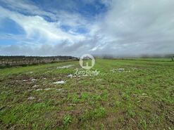 Terreno R�stico - Gi�o, Vila do Conde, Porto - Miniatura: 3/15