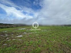 Terreno R�stico - Gi�o, Vila do Conde, Porto - Miniatura: 12/15