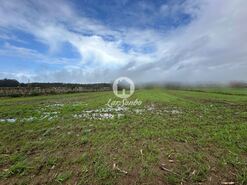 Terreno R�stico - Gi�o, Vila do Conde, Porto - Miniatura: 13/15