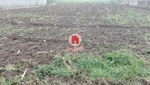 Terreno R�stico - Fajozes, Vila do Conde, Porto - Miniatura: 1/5