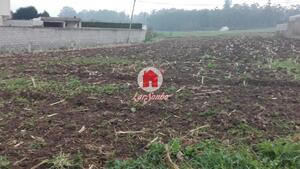 Terreno R�stico - Fajozes, Vila do Conde, Porto - Miniatura: 3/5