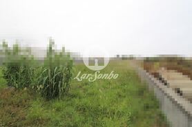 Terreno R�stico - Agu�adoura, P�voa de Varzim, Porto - Miniatura: 6/9